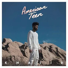 Vinyl American Teen