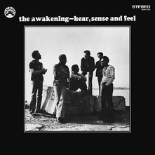 Vinyl HEAR, SENSE AND FEEL