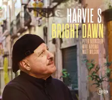BRIGHT DAWN thumbnail