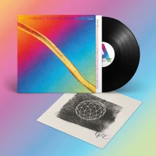 Hayden Thorpe, Vinyl MOONDUST FOR MY DIAMOND