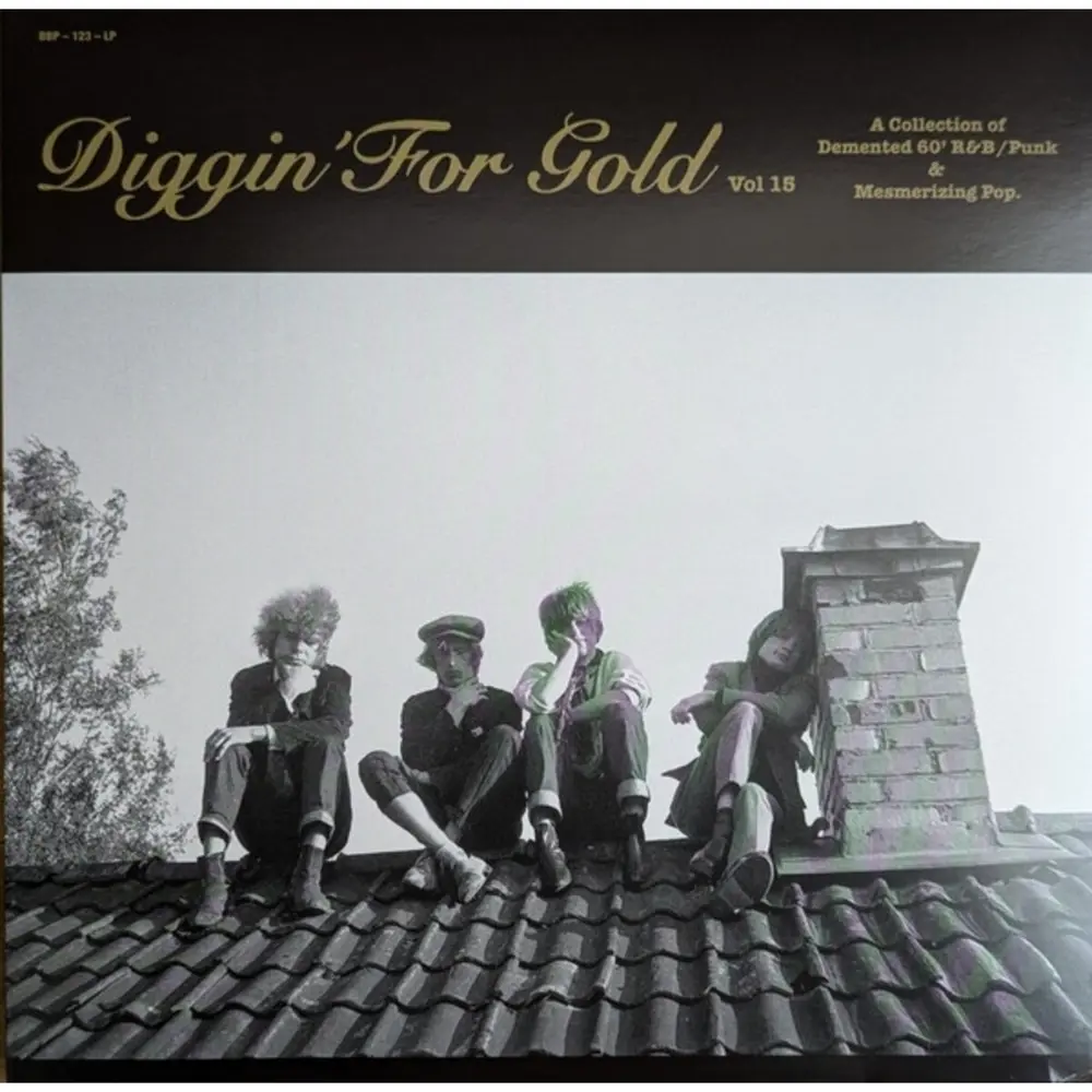 DIGGIN' FOR GOLD, VOL. 15