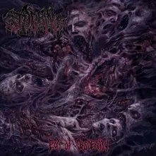 Vinyl Eon of Obscenity