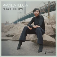 Wanda Felicia & Cold Diamond & Mink, Vinyl NOW IS THE TIME