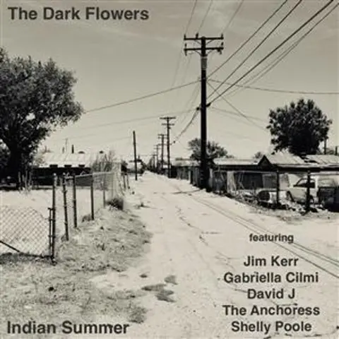 INDIAN SUMMER