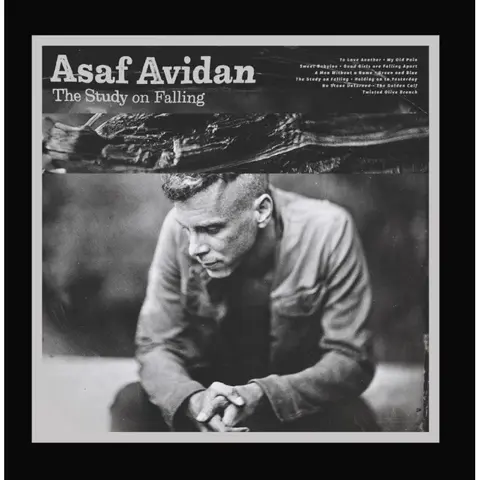 Asaf Avidan – CD THE STUDY ON FALLING