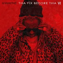 Vinyl THA FIX BEFORE THA VI