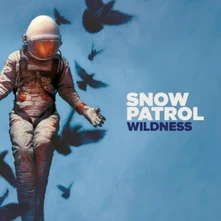 Vinyl SNOW PATROL - WILDNESS