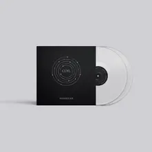 Vinyl BACKWARDS