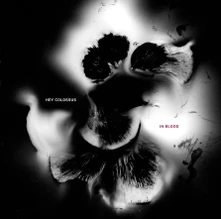 Hey Colossus, Vinyl IN BLOOD