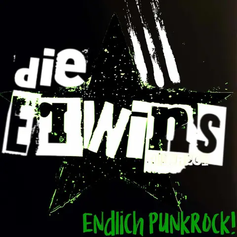 CD ENDLICH PUNKROCK!