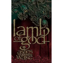 Ashes Of The Wake