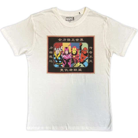 Avengers Framed Japanese
