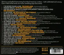 Soul Harmony: Sweet Soul Vocals 1961-1984 thumbnail