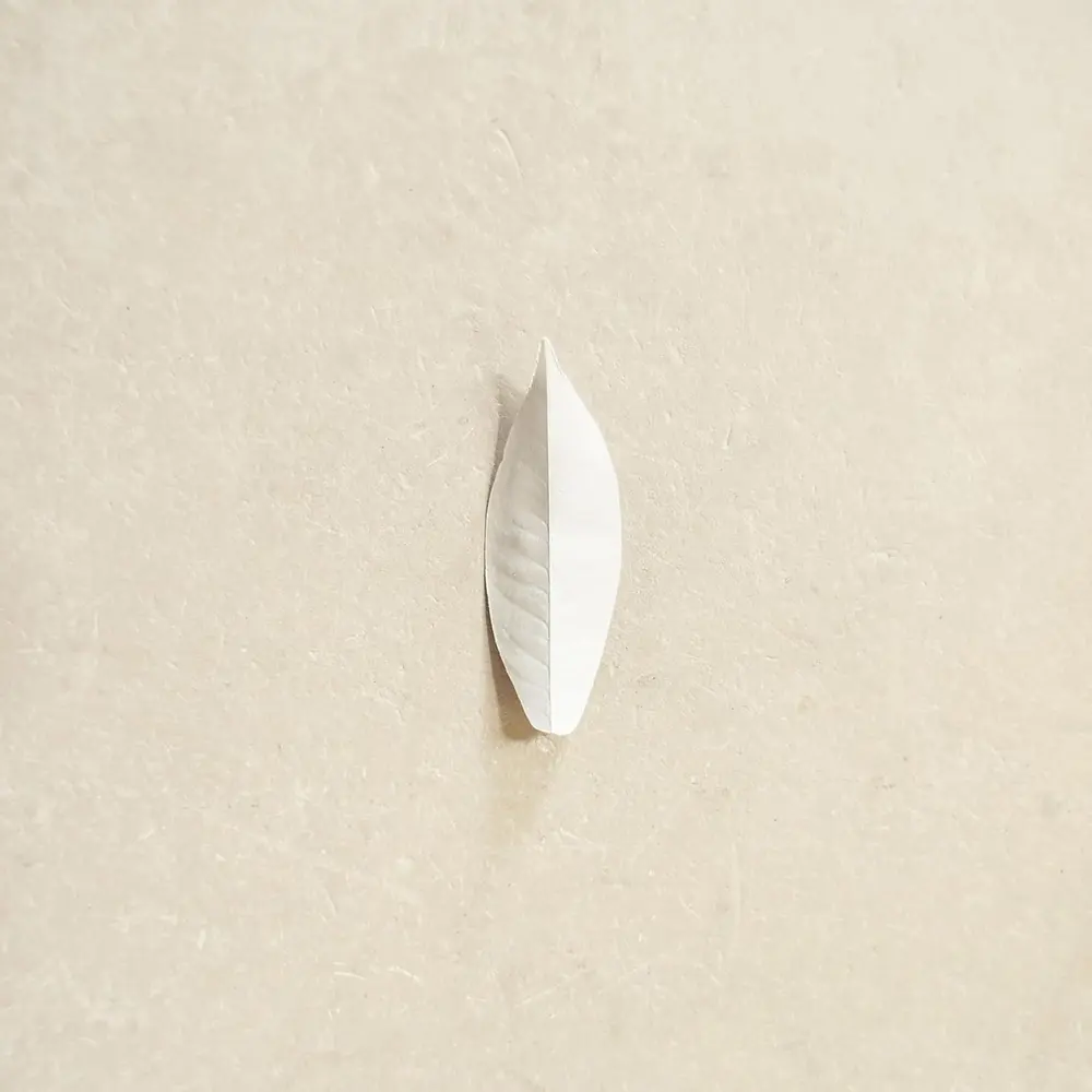 COMPLEXITY OF THE SIMPLE