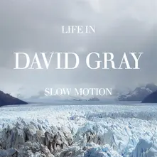 Vinyl LIFE IN SLOW MOTION