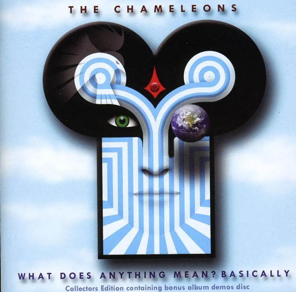 The Chameleons – CHAMELEONS - WHAT DOES ANYTHING MEAN (CD)