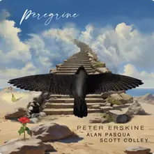 Vinyl PEREGRINE