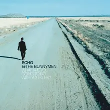 Echo & the Bunnymen, Vinyl WHAT ARE YOU GOING TO DO WITH YOUR LIFE ?