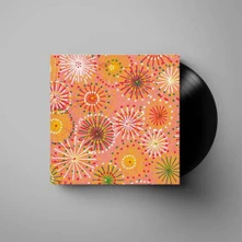 Bright Eyes, Vinyl LETTING OFF THE HAPPINESS