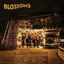 Blossoms, CD BLOSSOMS