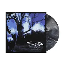 Staind, Vinyl BREAK THE CYCLE