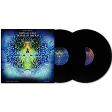 Vinyl FINNEGAN'S WAKE