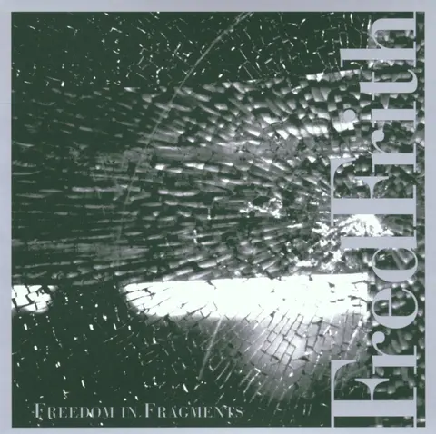 FREEDOM IN FRAGMENTS