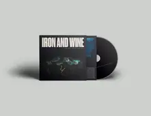 IRON & WINE - WHO CAN SEE FOREVER thumbnail