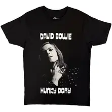 Hunky Dory 1 thumbnail