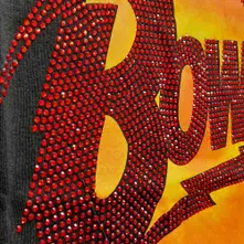 Diamond Dogs Logo thumbnail