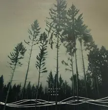 Wouter Dewit, Vinyl HOLD