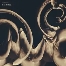 Siamese, Vinyl DISSOLUTION