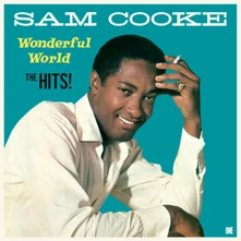 Sam Cooke, Vinyl Wonderful World (The Hits) (Stereo 180g Audiophile Pressing)