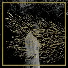 Forest Swords – ENGRAVINGS (CD)
