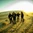 Of Mice & Men
