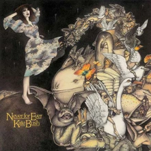 Kate Bush, Vinyl NEVER FOR EVER