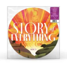 Story Of Everything (Picture Vinyl) thumbnail
