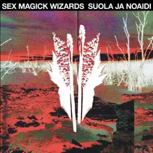 SUOLA JA NOAIDI thumbnail