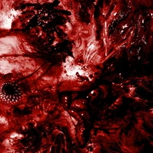 Excrescence, CD INESCAPABLE ANATMICAL DETERIORATION