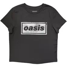 Ladies T-Shirt: Paint Logo (Charcoal Grey) (Ex-Tour) thumbnail