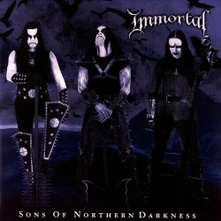 Vinyl SONS OF NORTHERN DARKNESS