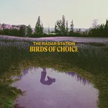 The Radar Station – BIRDS OF CHOICE (CD)