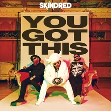 Skindred, Vinyl You Got This