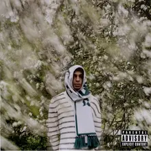 Bloom thumbnail