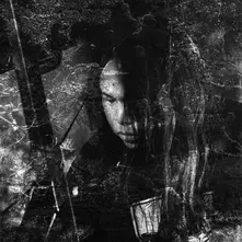 thisquietarmy, Vinyl LANGUE HYBRIDE