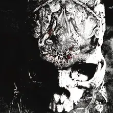 TEMPLE OF WOUNDS thumbnail