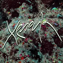XENOULA (Vinyl)