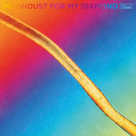 Hayden Thorpe – Vinyl MOONDUST FOR MY DIAMOND