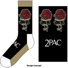 Rose thumbnail