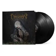 In Somnolent Ruin (Black Vinyl) thumbnail